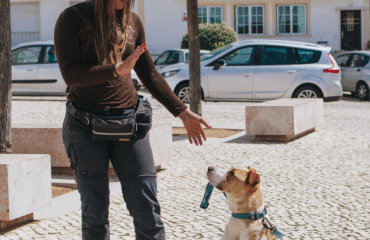 Thalita Dog Trainer
