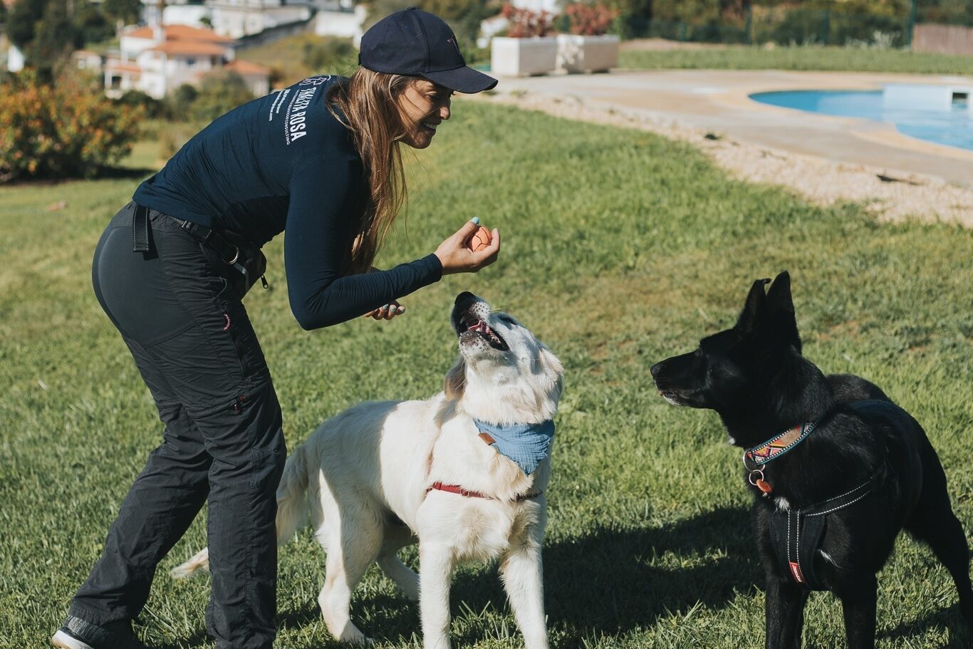 Enriquecimento Ambiental para Cães: Como Estimular a Mente e Evitar Problemas Comportamentais