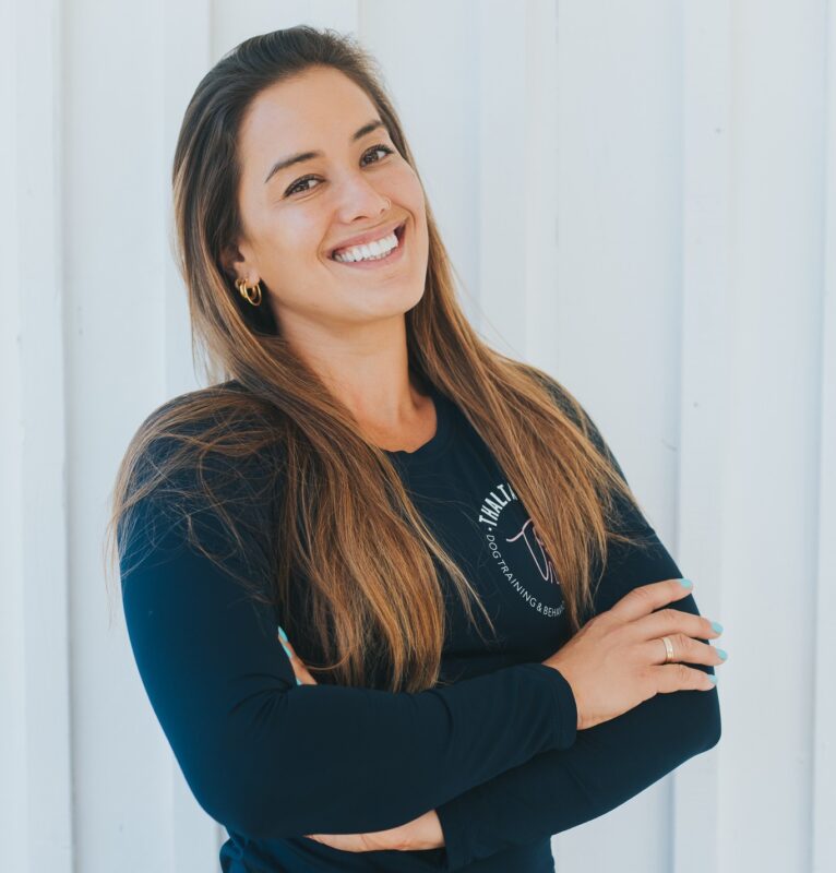 O seu cão não te obedece? Saiba porquê!